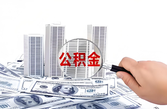 杨浦在职公积金代办服务-便捷高效，助力您的公积金管理