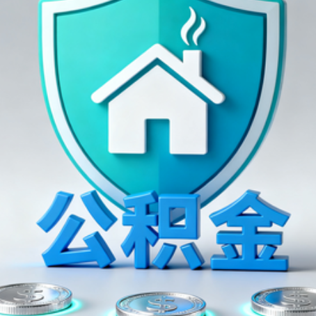杨浦公积金代办行业观察:谁在提供专业服务?